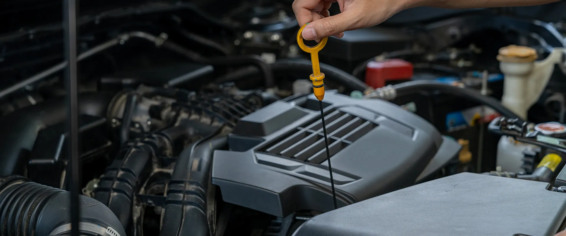 Oil Changes & Maintenance near Evansville, IN
